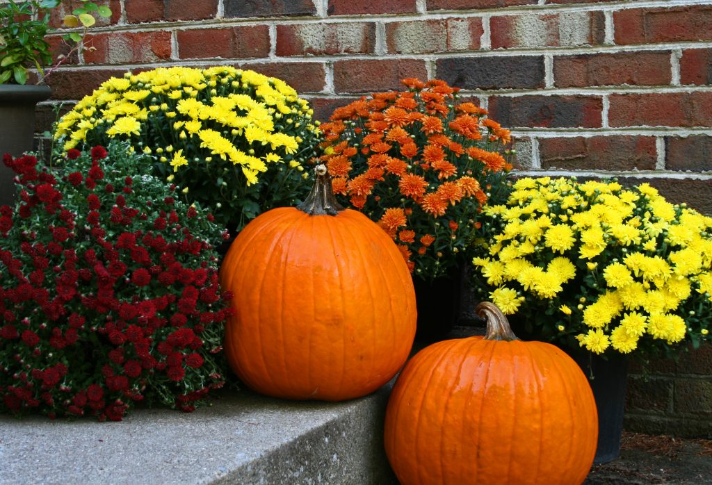 Halloween Porch Decor